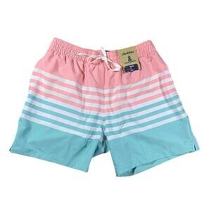 Chubbies On the Horizon 5.5” Shorts NWT - M
